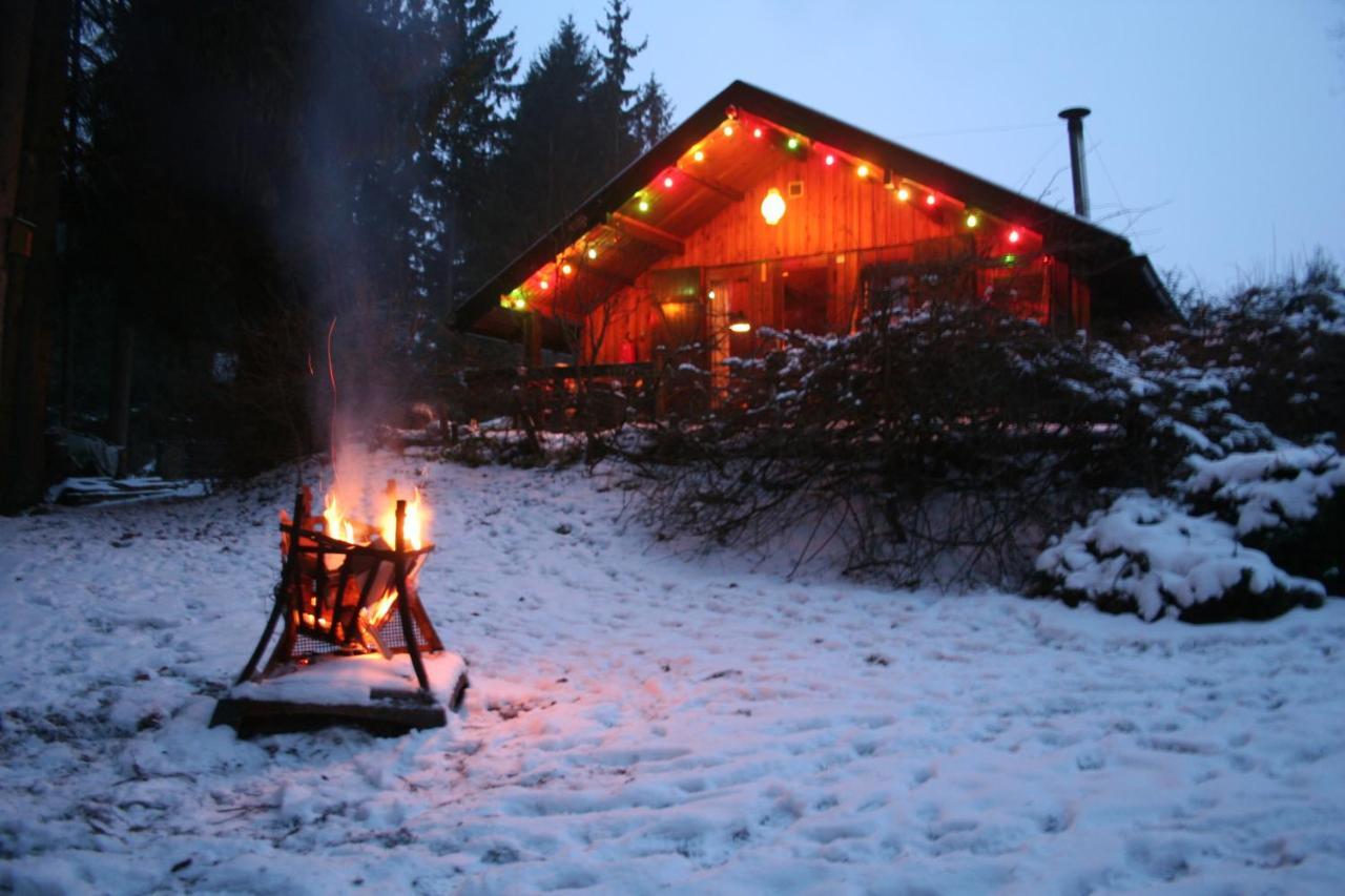 Chalet Barvaux Met Grote Tuin 杜柏 外观 照片