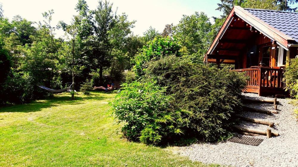 Chalet Barvaux Met Grote Tuin 杜柏 外观 照片