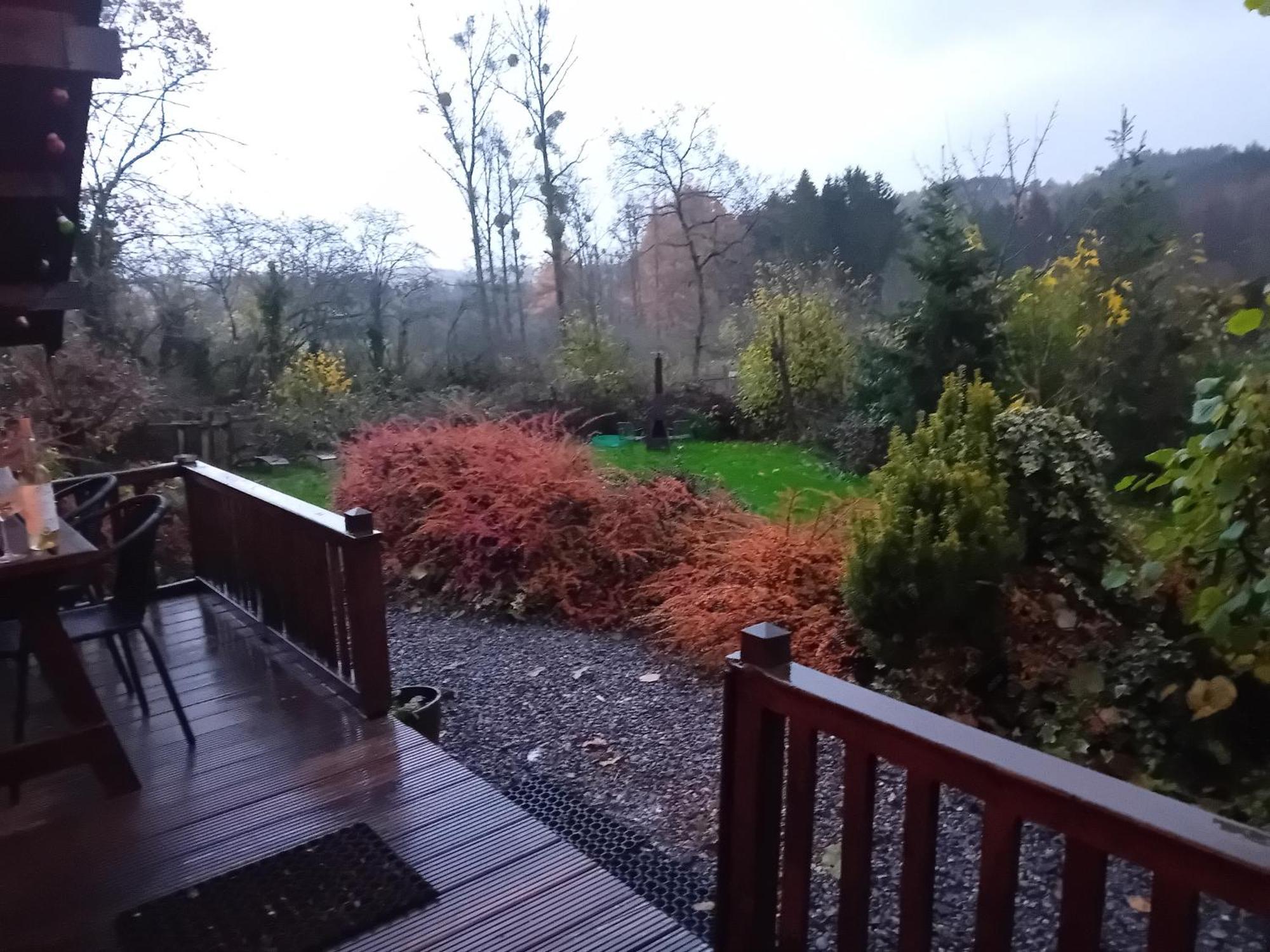 Chalet Barvaux Met Grote Tuin 杜柏 外观 照片